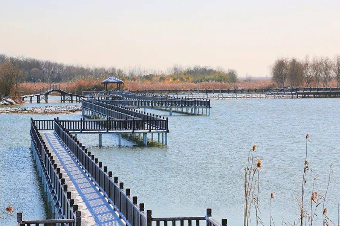 Hongze Lake Wetland
